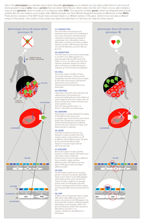 23andMe - Genetics 101 - Learn about DNA